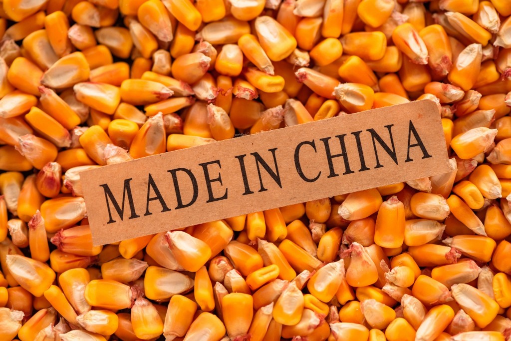 export z Chin